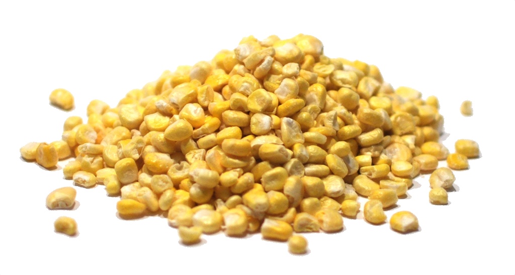 Sweet Corn, Dehydrated - 16 lb - 5 gal Bucket