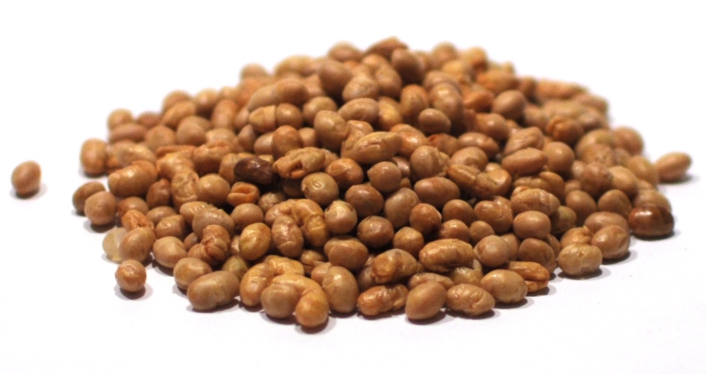 Buy Roasted Soy Nuts Online in Bulk at Mount Hope Wholesale